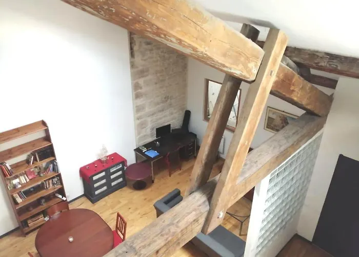 Loft Viarhona, Grand Loft En Centre-Ville