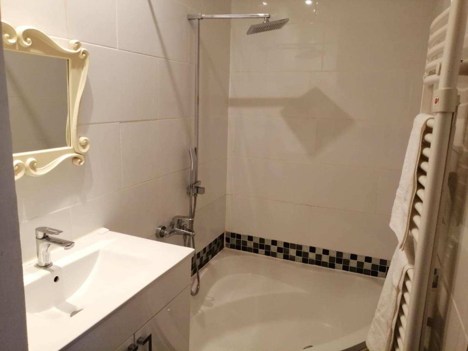 Loft Viarhona, Grand Loft En Centre-ville *