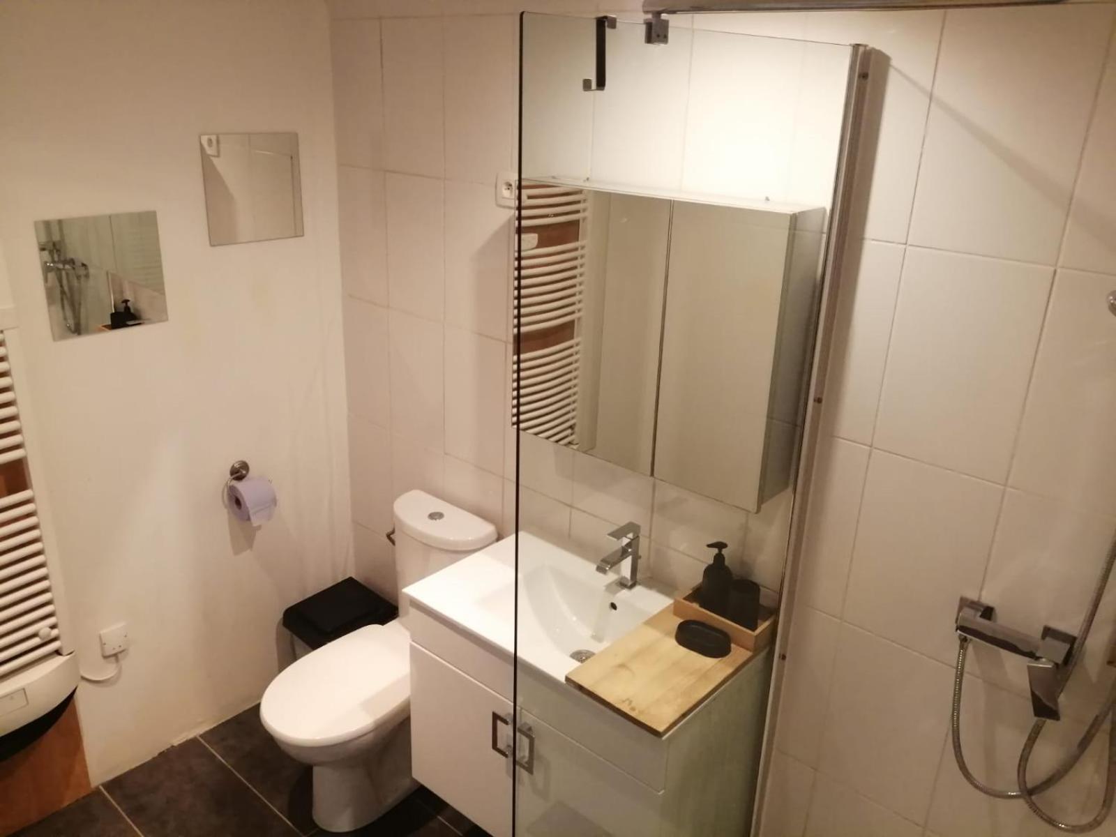 Loft Viarhona, Grand Loft En Centre-ville *